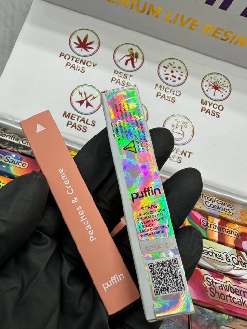 puffin disposable